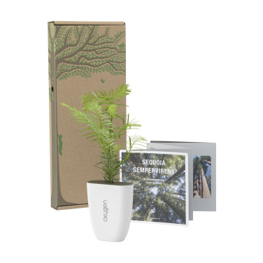 Logotrade corporate gift image of: Treemore Letterbox Trees Giant Sequoia