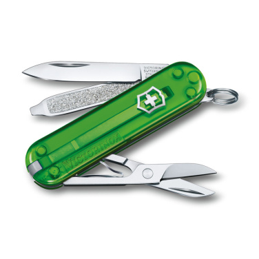 Logo trade reklaamtoote pilt: Taskunuga Classic SD läbipaistev Victorinox