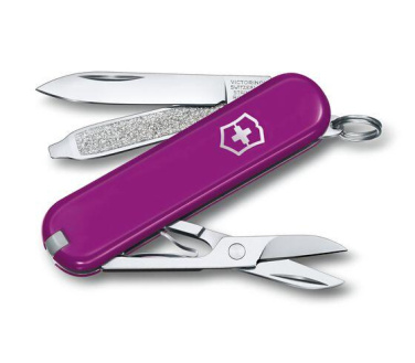 Logotrade liikelahja mainoslahja kuva: Taskuveitsi CLASSIC SD Victorinox