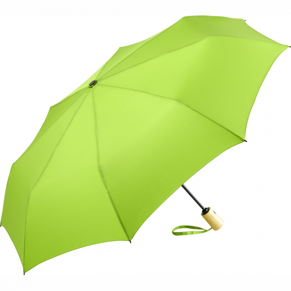 : AOC mini vihmavari ÖkoBrella 5429, roheline