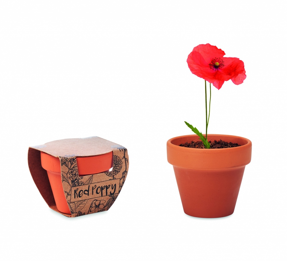 Logotrade reklamprodukter bild: Terracotta skål 'poppy'